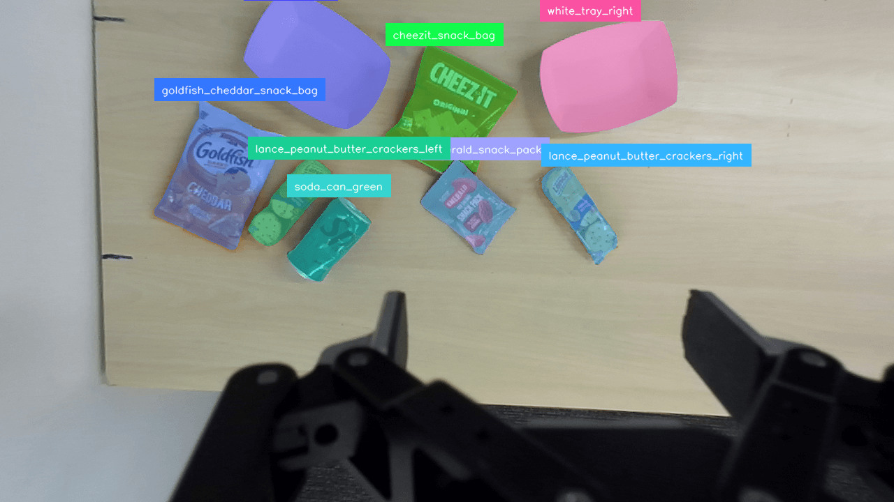 SAM 2 segmentation masks